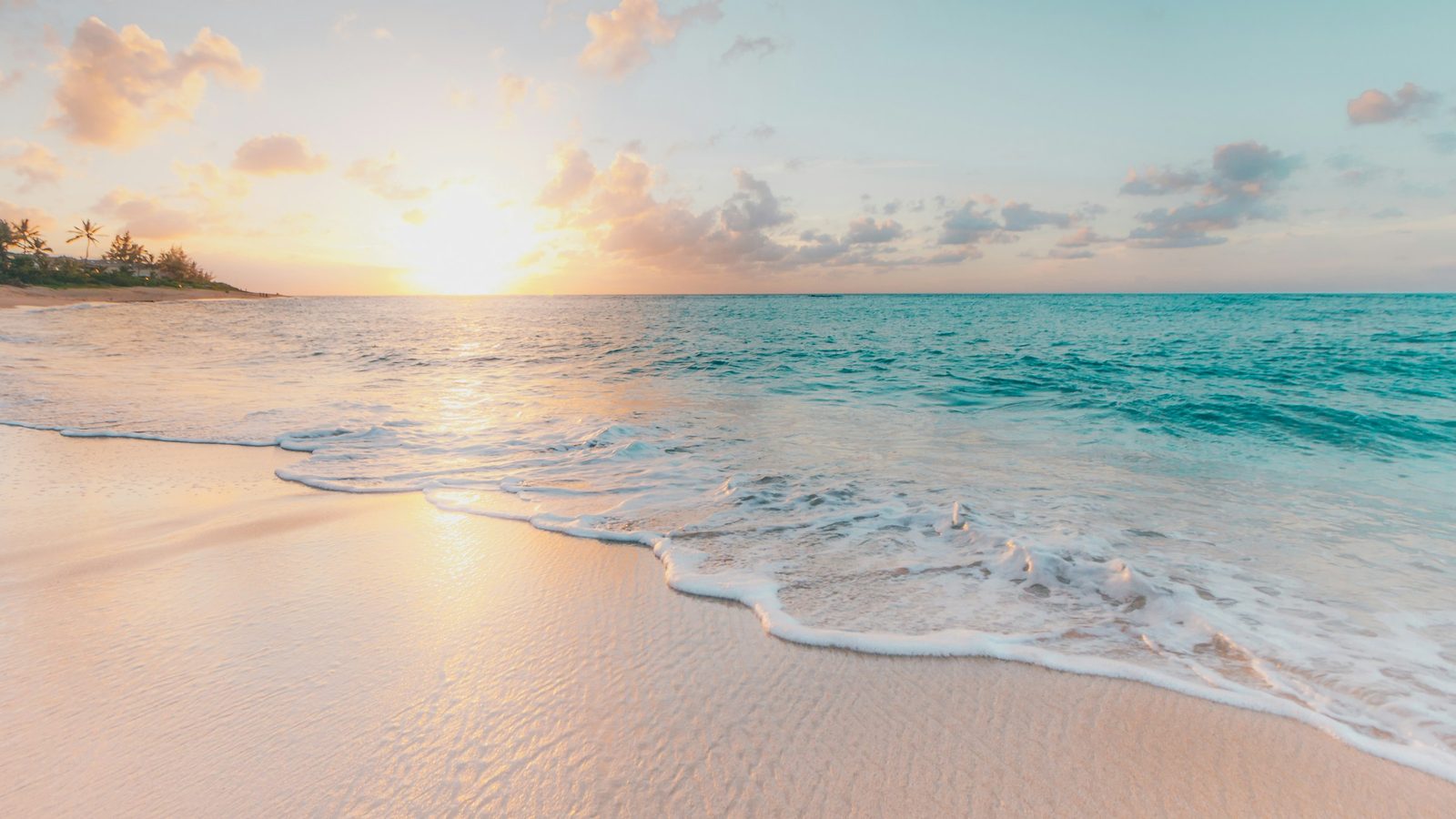 Multigenerational Trip From Three Different States